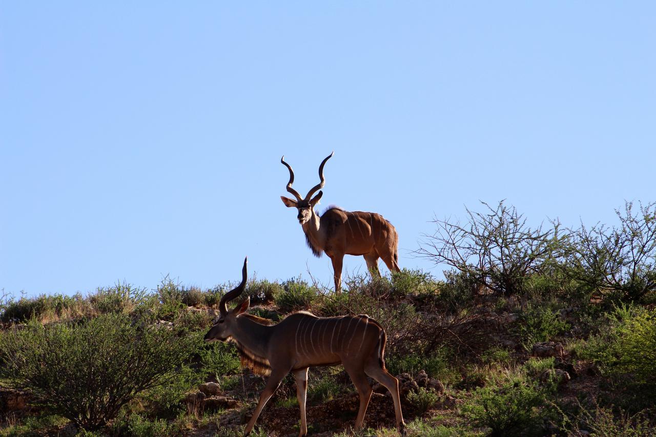 Kgalagadi Lodge Askham Buitenkant foto