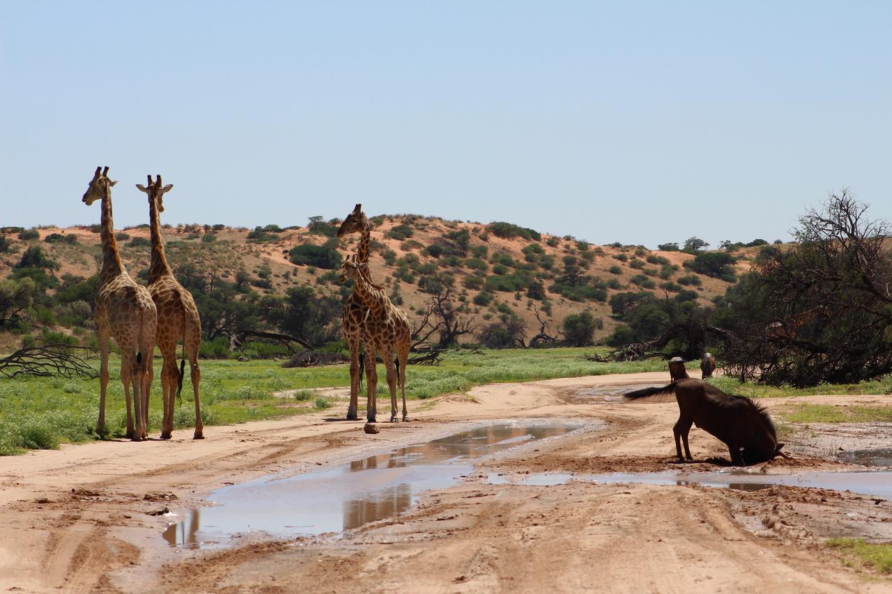 Kgalagadi Lodge Askham Buitenkant foto